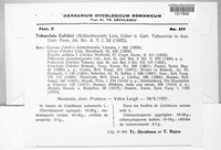 Image Associated With the Occurence